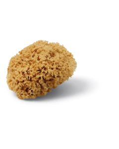 Magic Sponge 12cm tengeri szivacs